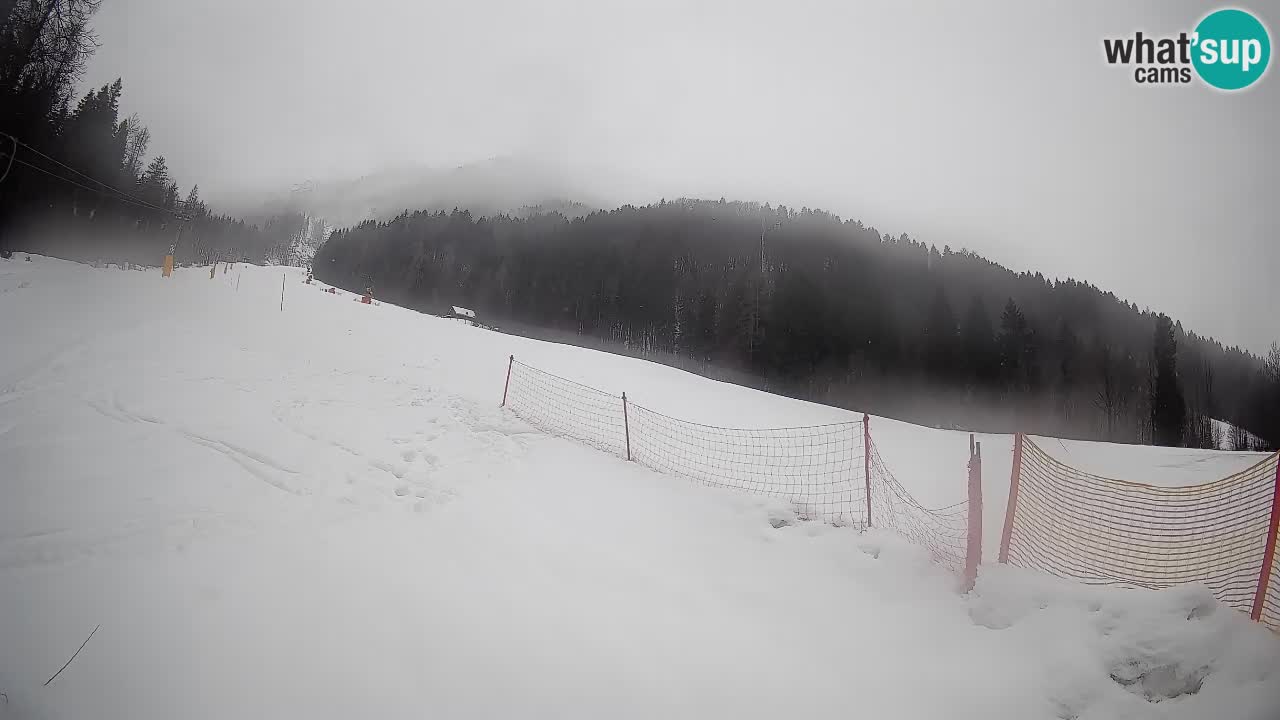 Ski Kranjska Gora | Brsnina