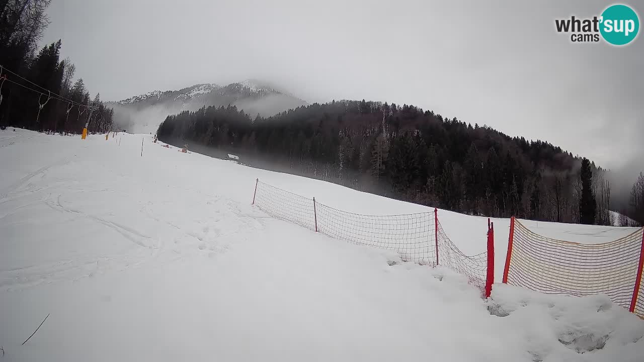 RTC Skigebiet Kranjska Gora | Brsnina