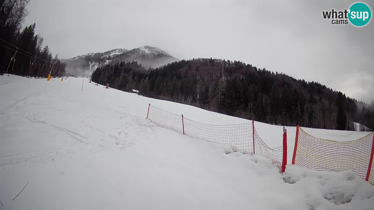 Comprensorio sciistico Kranjska Gora | Brsnina