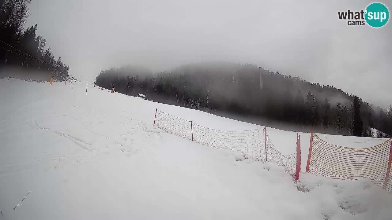 Comprensorio sciistico Kranjska Gora | Brsnina