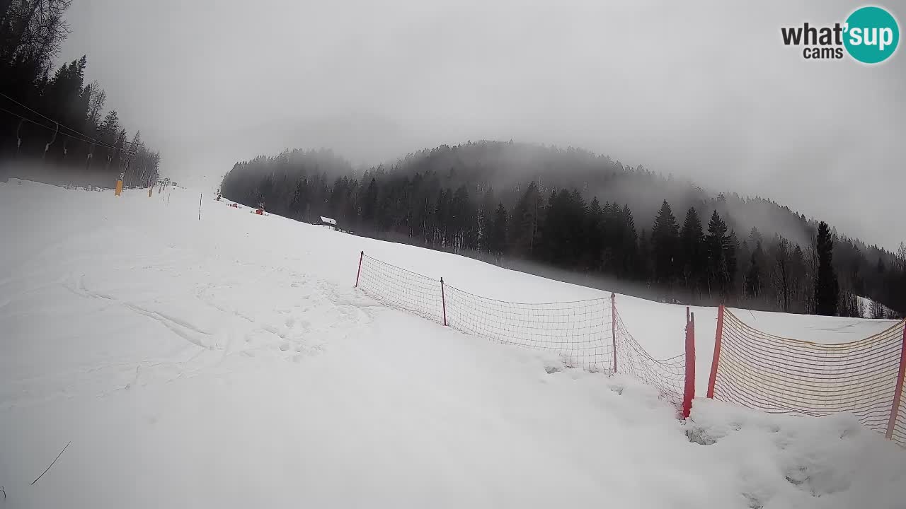 Kranjska Gora Station de ski | Brsnina