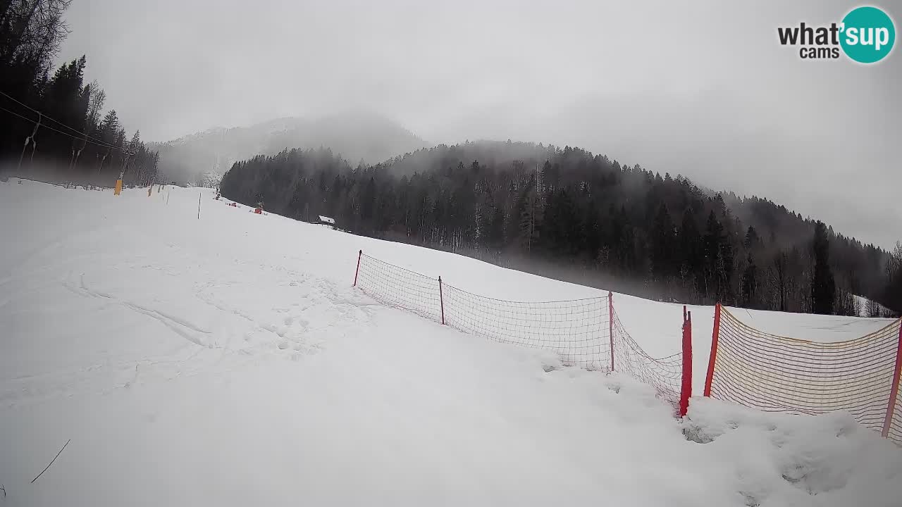 Kranjska Gora Station de ski | Brsnina