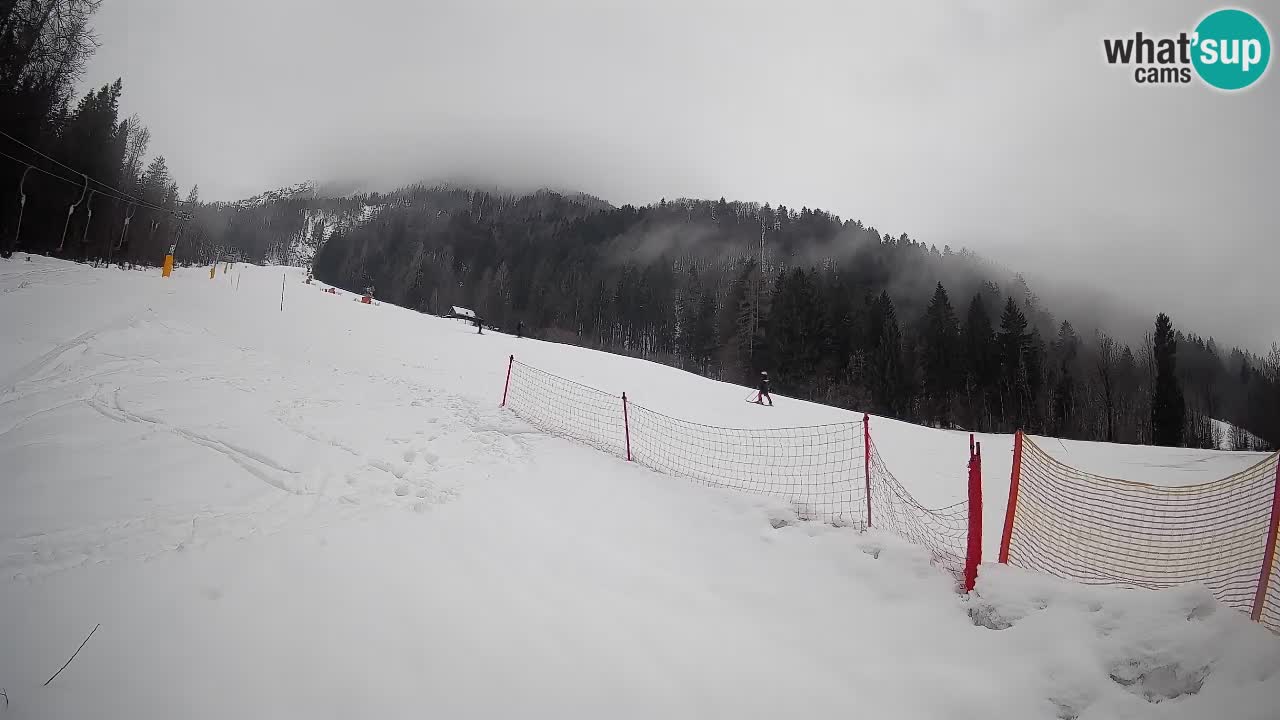 Kranjska Gora Station de ski | Brsnina