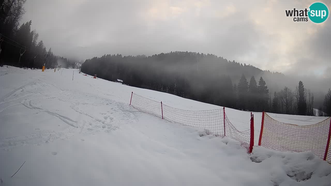 Comprensorio sciistico Kranjska Gora | Brsnina