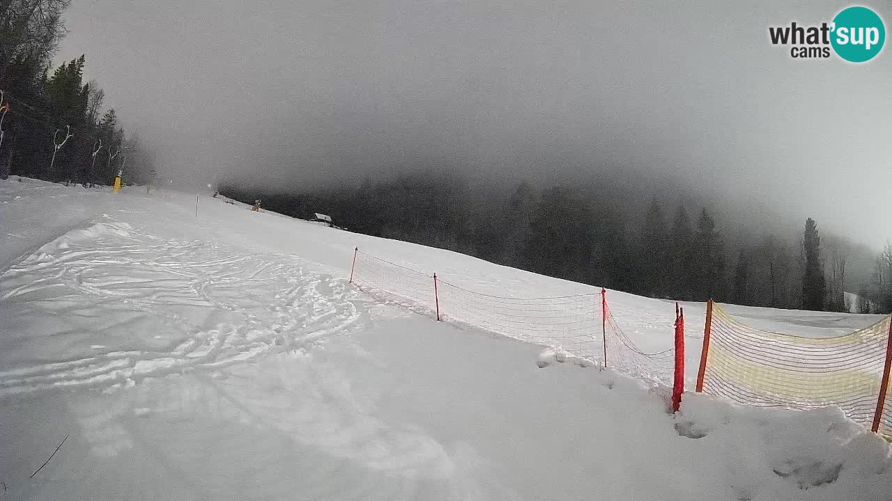 Ski Kranjska Gora | Brsnina