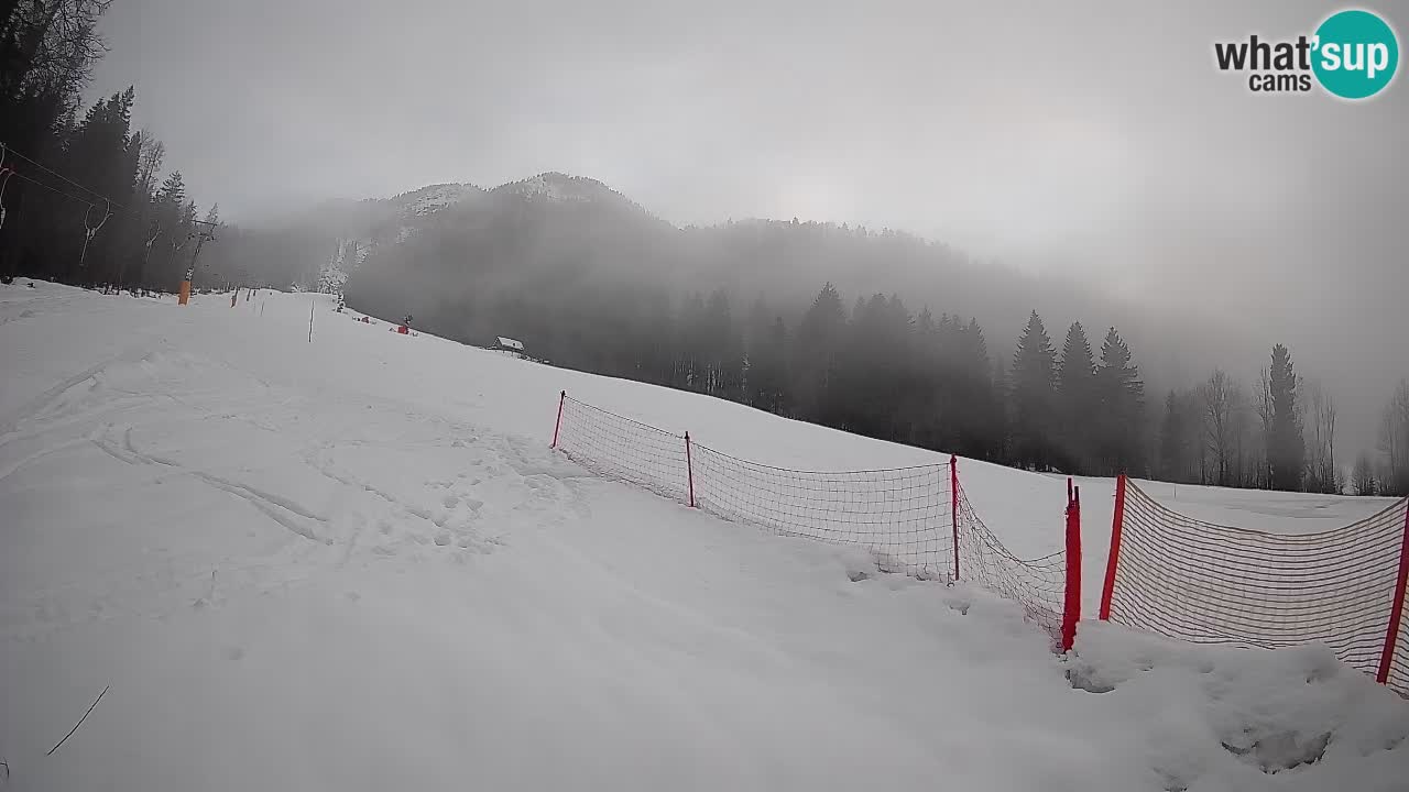 RTC Skigebiet Kranjska Gora | Brsnina