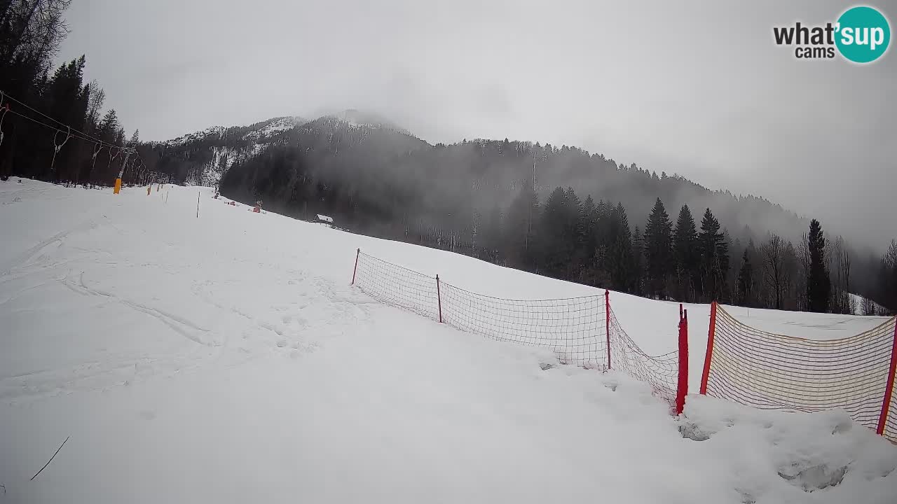 Kranjska Gora SKIJANJE | Brsnina
