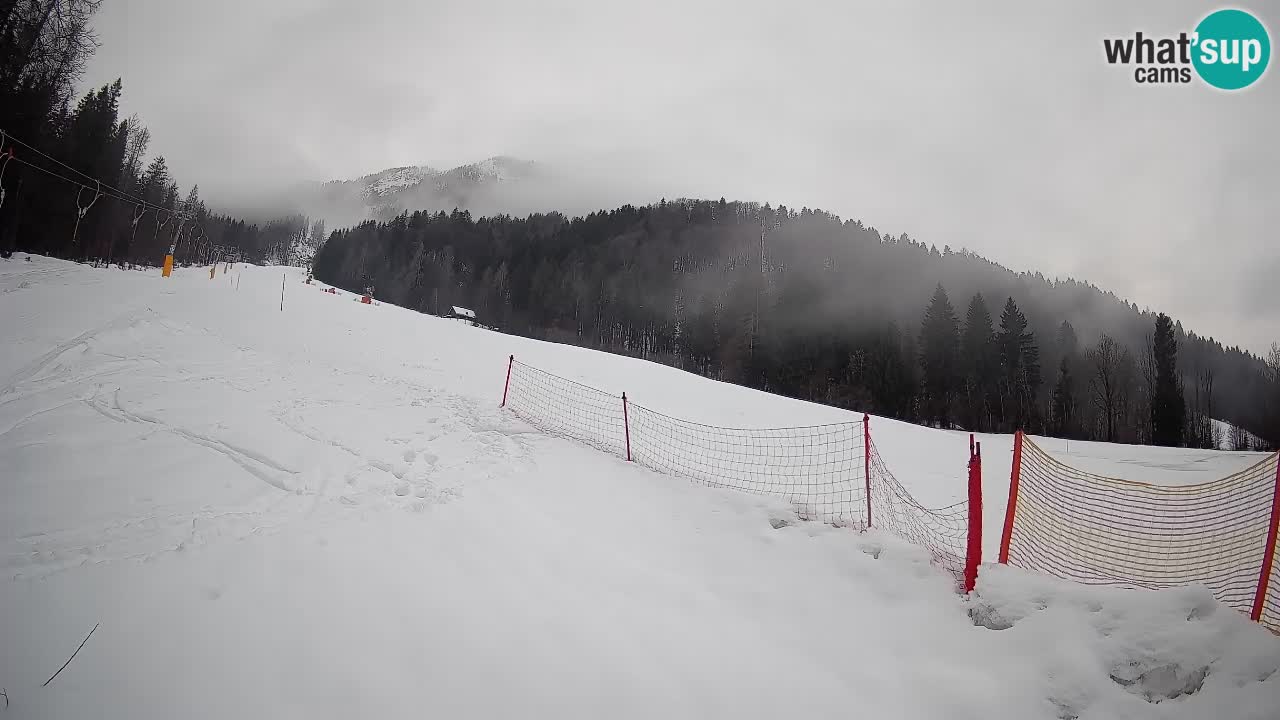 Comprensorio sciistico Kranjska Gora | Brsnina