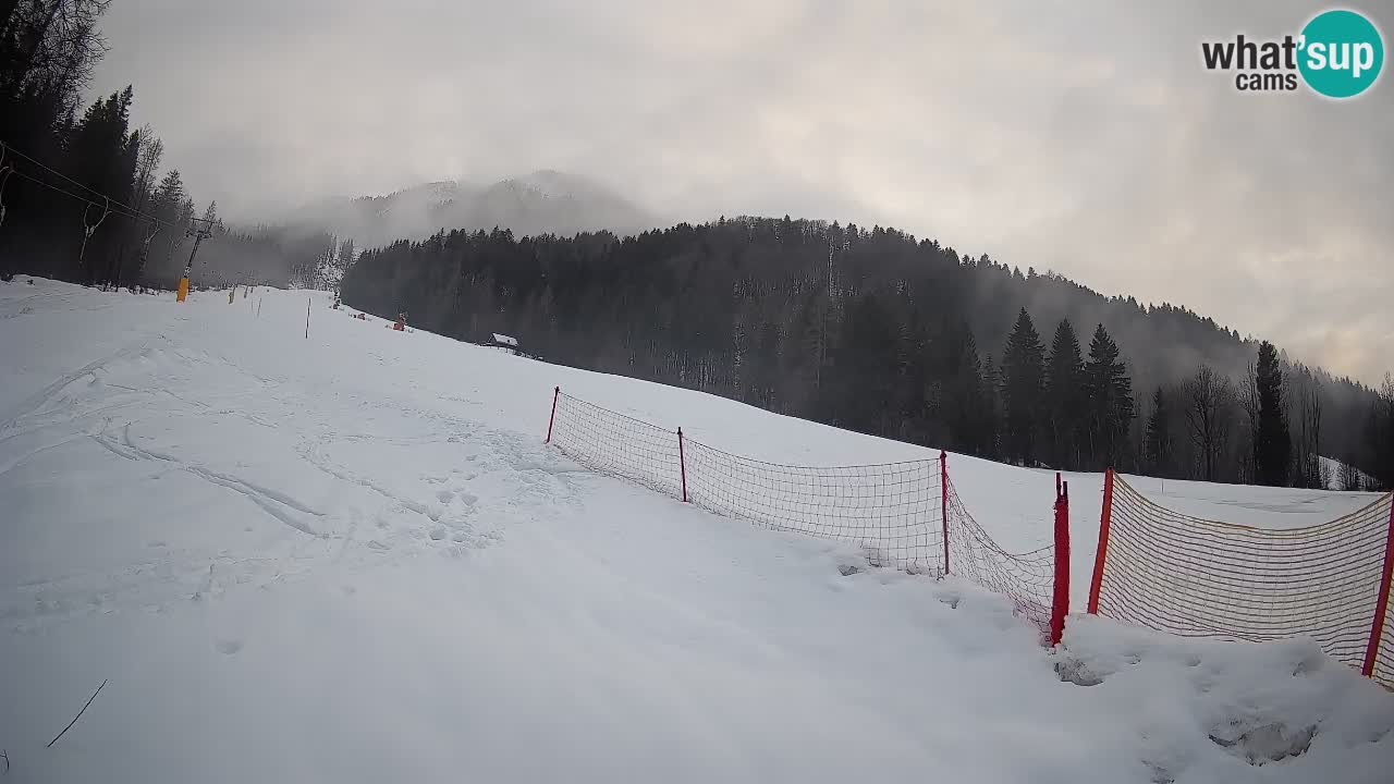 Esquí Kranjska Gora | Brsnina