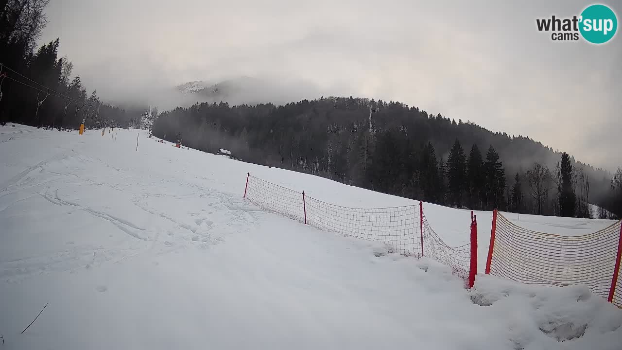 Esquí Kranjska Gora | Brsnina