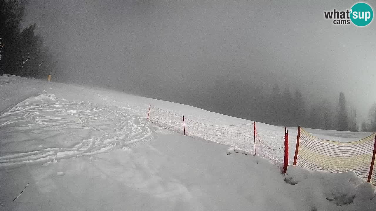 Kranjska Gora Station de ski | Brsnina