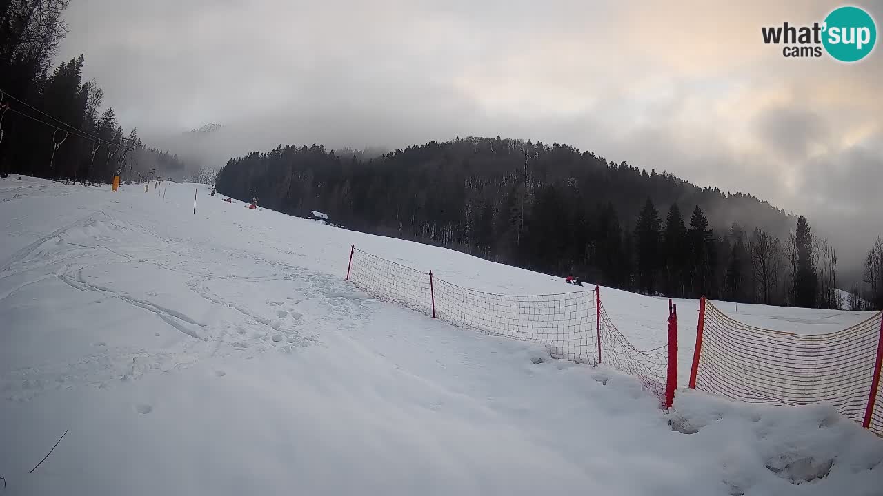 RTC Kranjska Gora | Brsnina