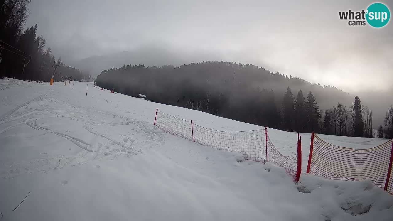 RTC Kranjska Gora | Brsnina
