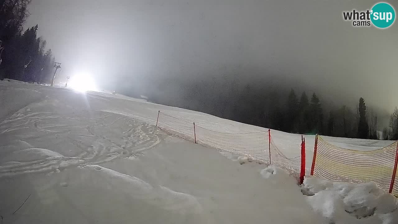 Esquí Kranjska Gora | Brsnina