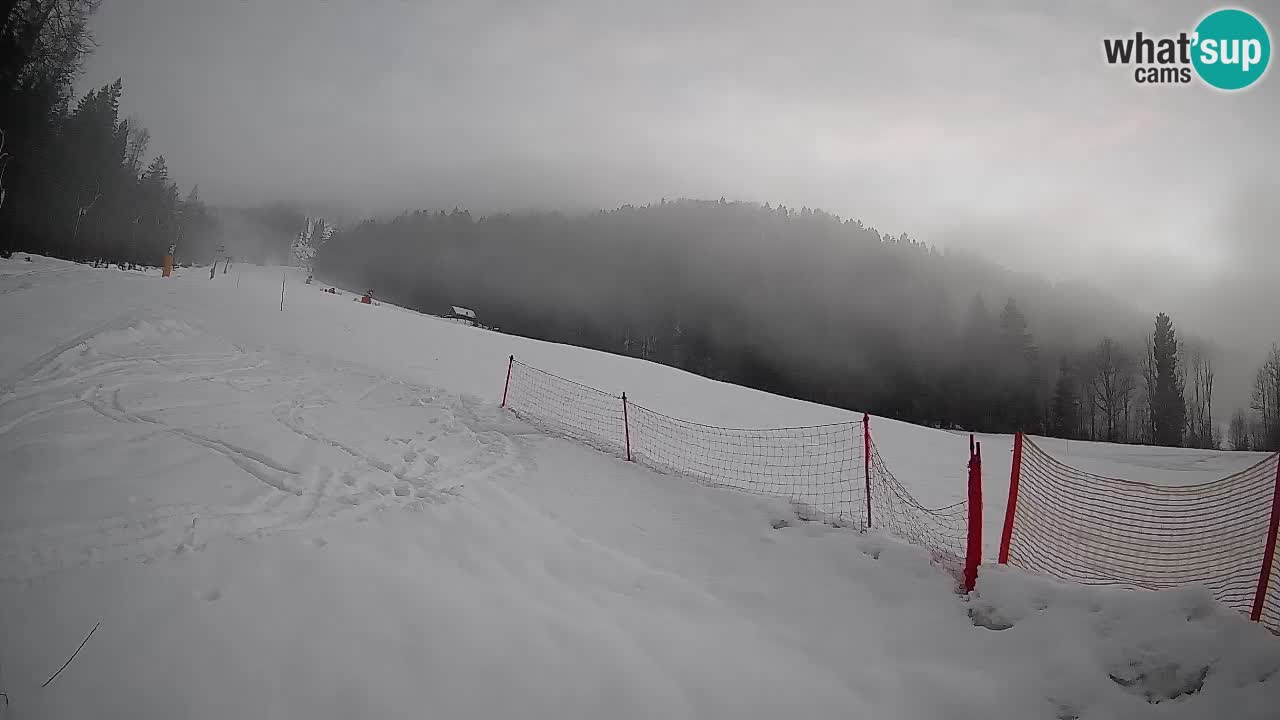 RTC Kranjska Gora | Brsnina