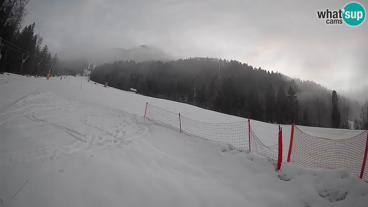 RTC Kranjska Gora | Brsnina