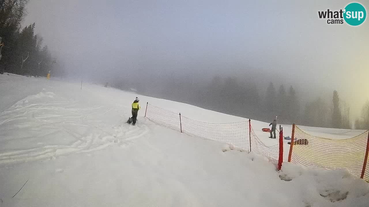 Esquí Kranjska Gora | Brsnina