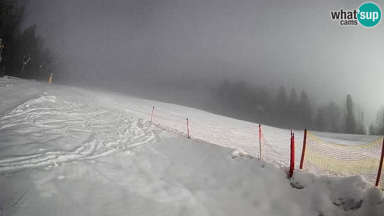 Ski Kranjska Gora | Brsnina