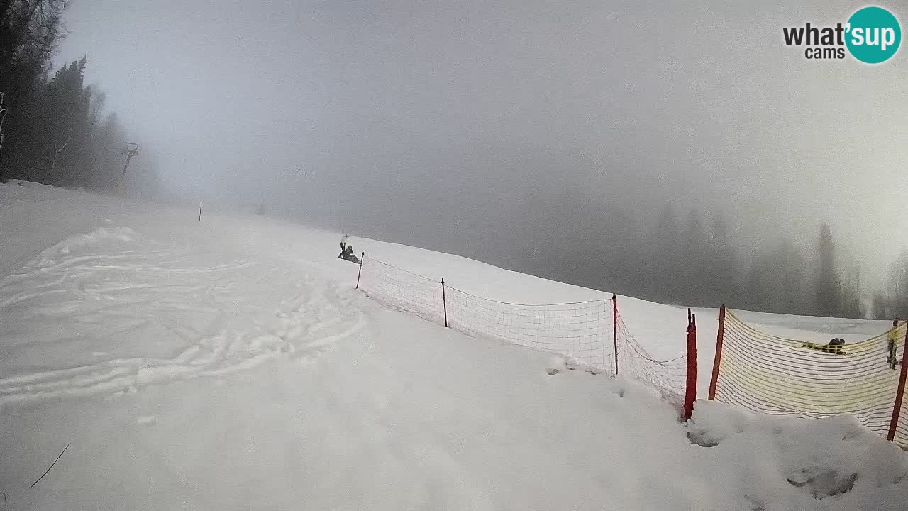 RTC Skigebiet Kranjska Gora | Brsnina