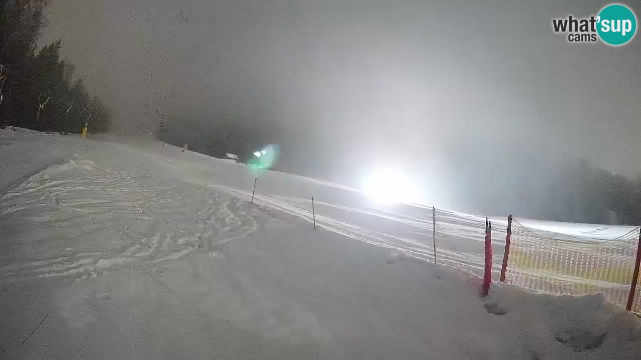 Esquí Kranjska Gora | Brsnina