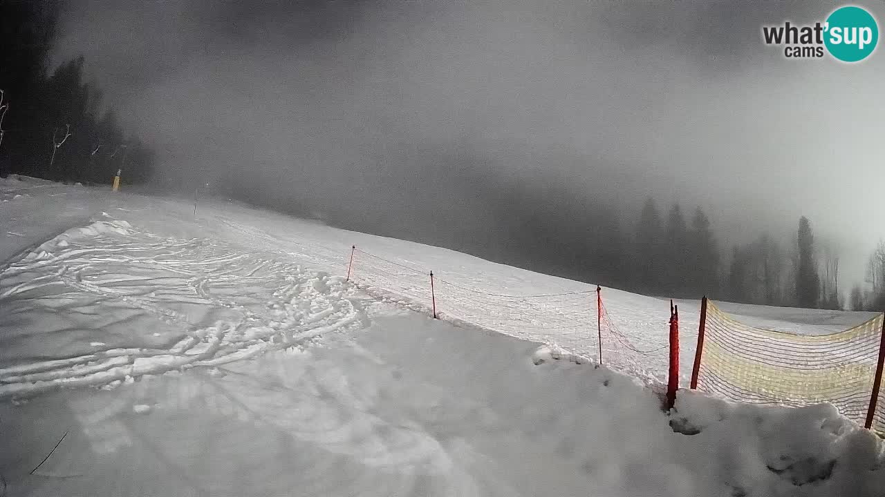 Kranjska Gora Station de ski | Brsnina