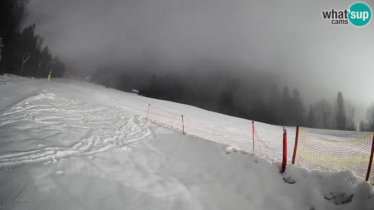 Esquí Kranjska Gora | Brsnina