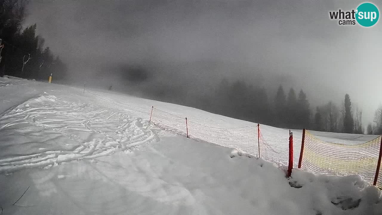 RTC Skigebiet Kranjska Gora | Brsnina