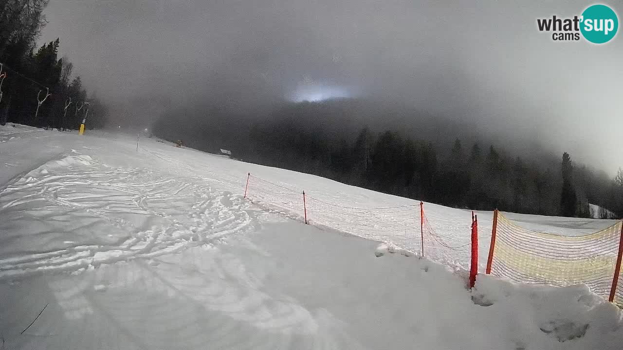 RTC Skigebiet Kranjska Gora | Brsnina