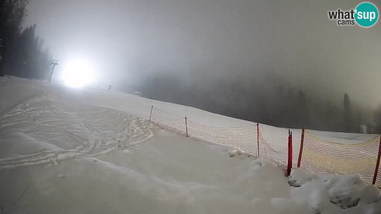 Comprensorio sciistico Kranjska Gora | Brsnina