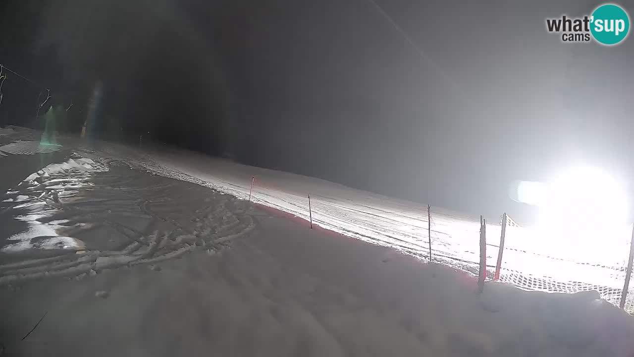 Ski Kranjska Gora | Brsnina