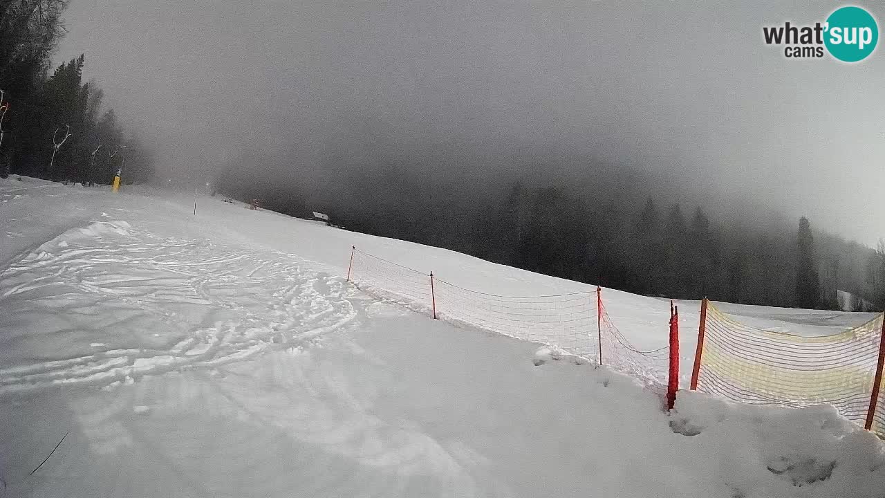 RTC Skigebiet Kranjska Gora | Brsnina