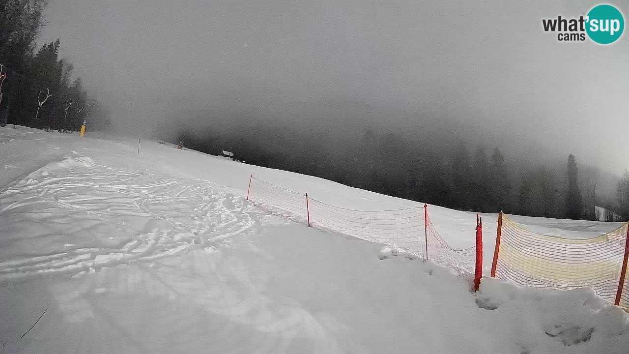 RTC Kranjska Gora | Brsnina