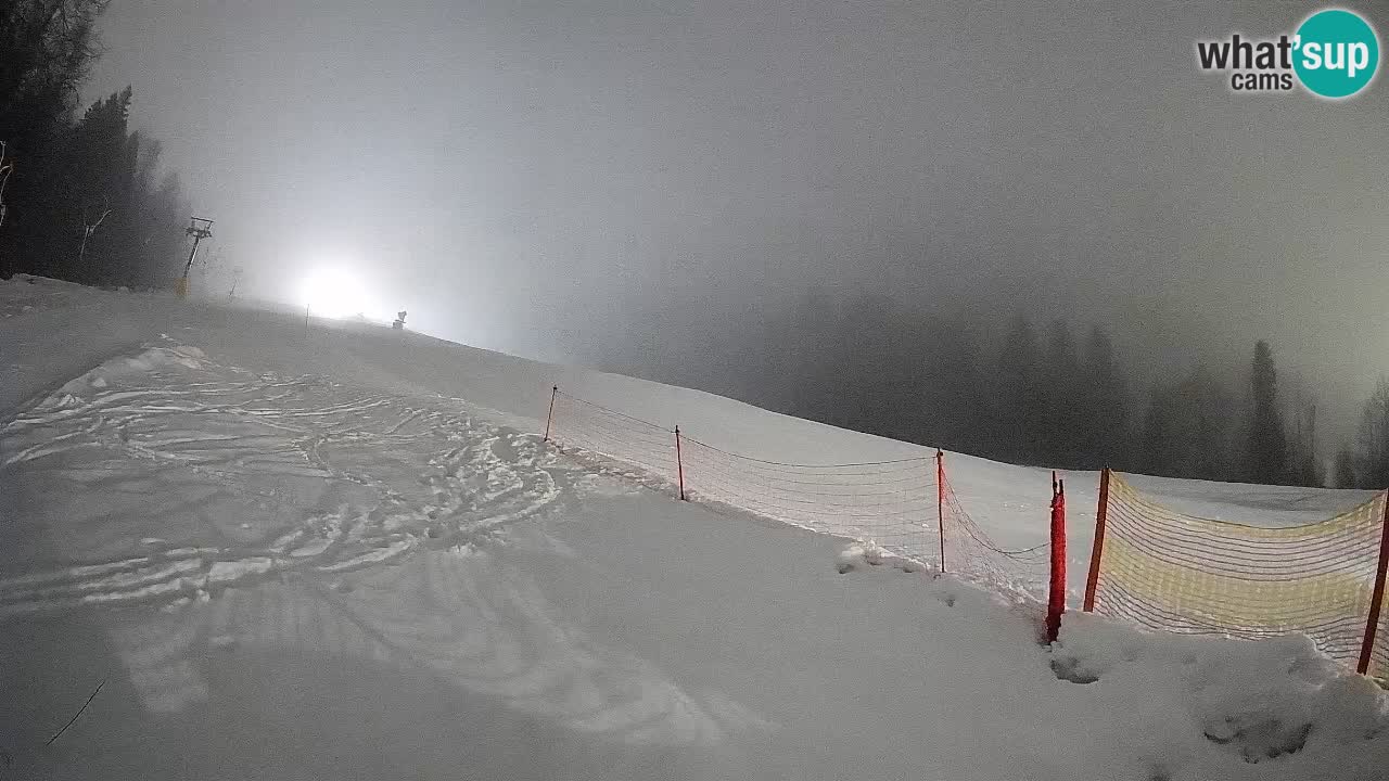 RTC Skigebiet Kranjska Gora | Brsnina