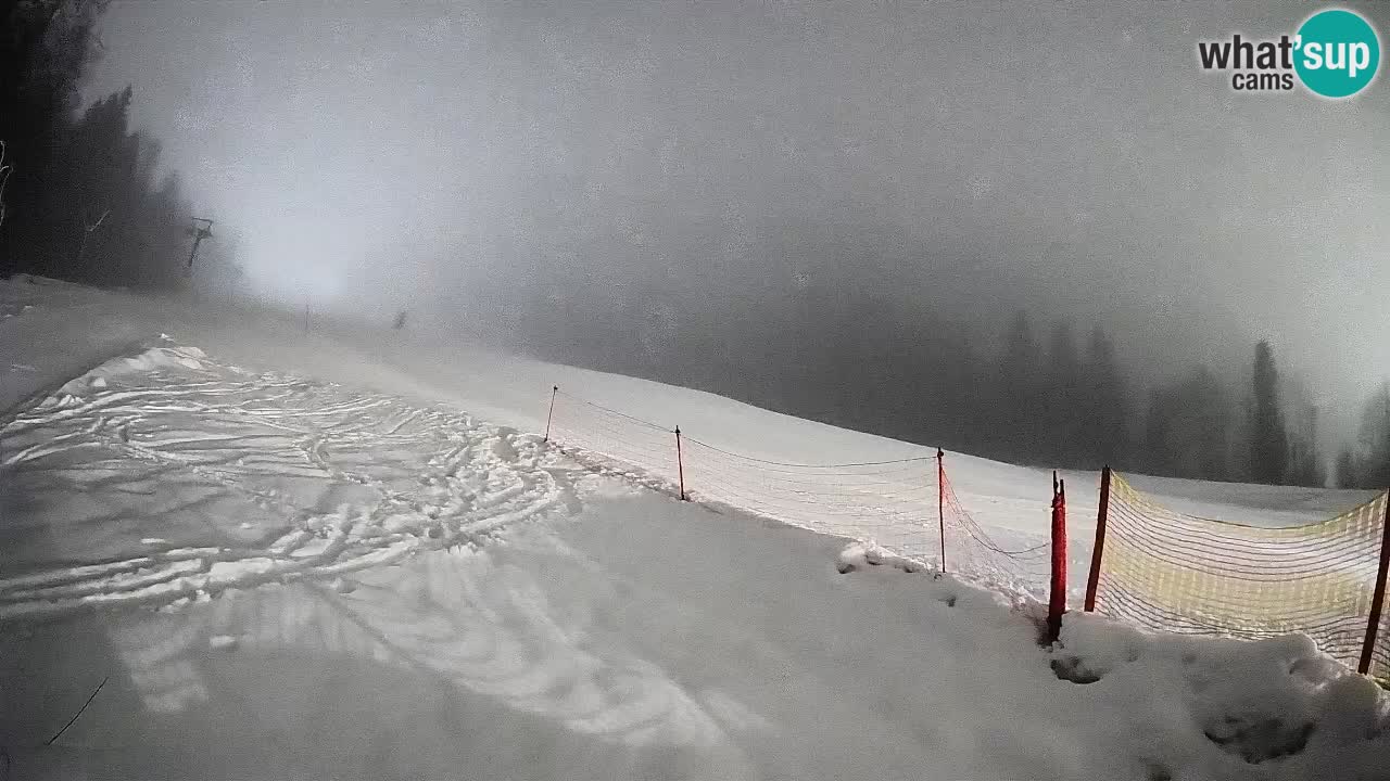 Ski Kranjska Gora | Brsnina