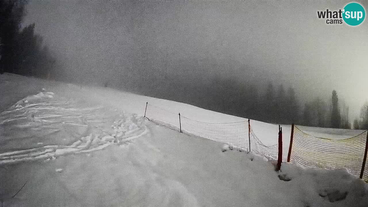 Ski Kranjska Gora | Brsnina