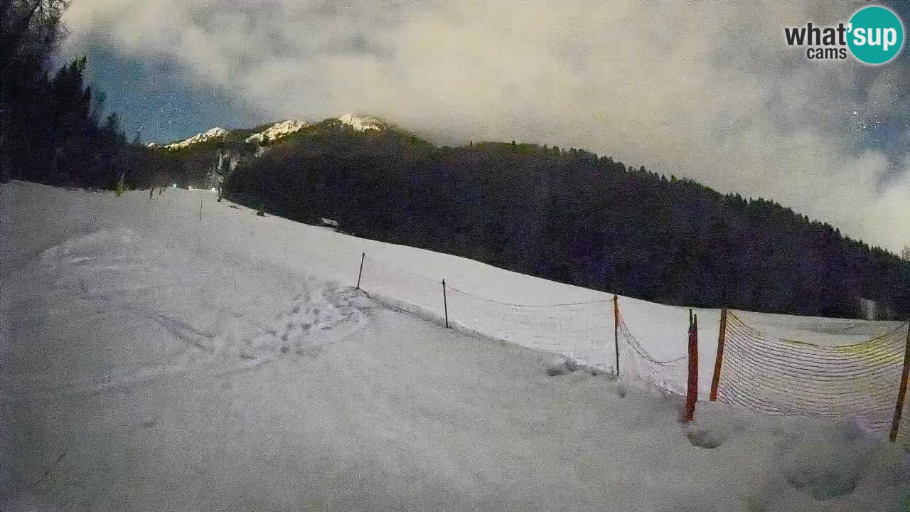 Comprensorio sciistico Kranjska Gora | Brsnina