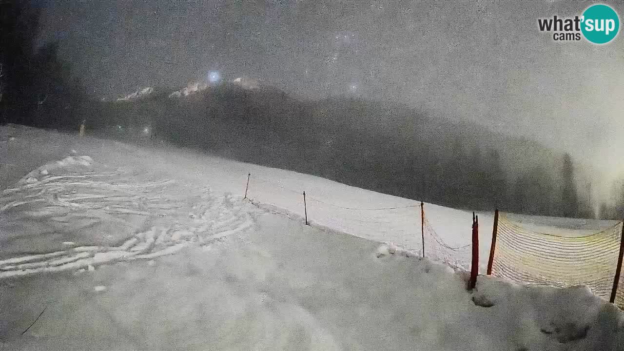 RTC Kranjska Gora | Brsnina