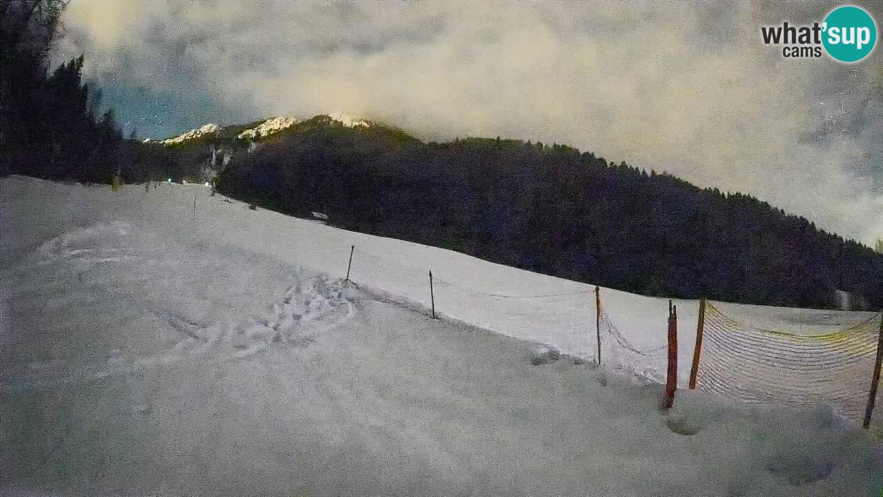 RTC Skigebiet Kranjska Gora | Brsnina