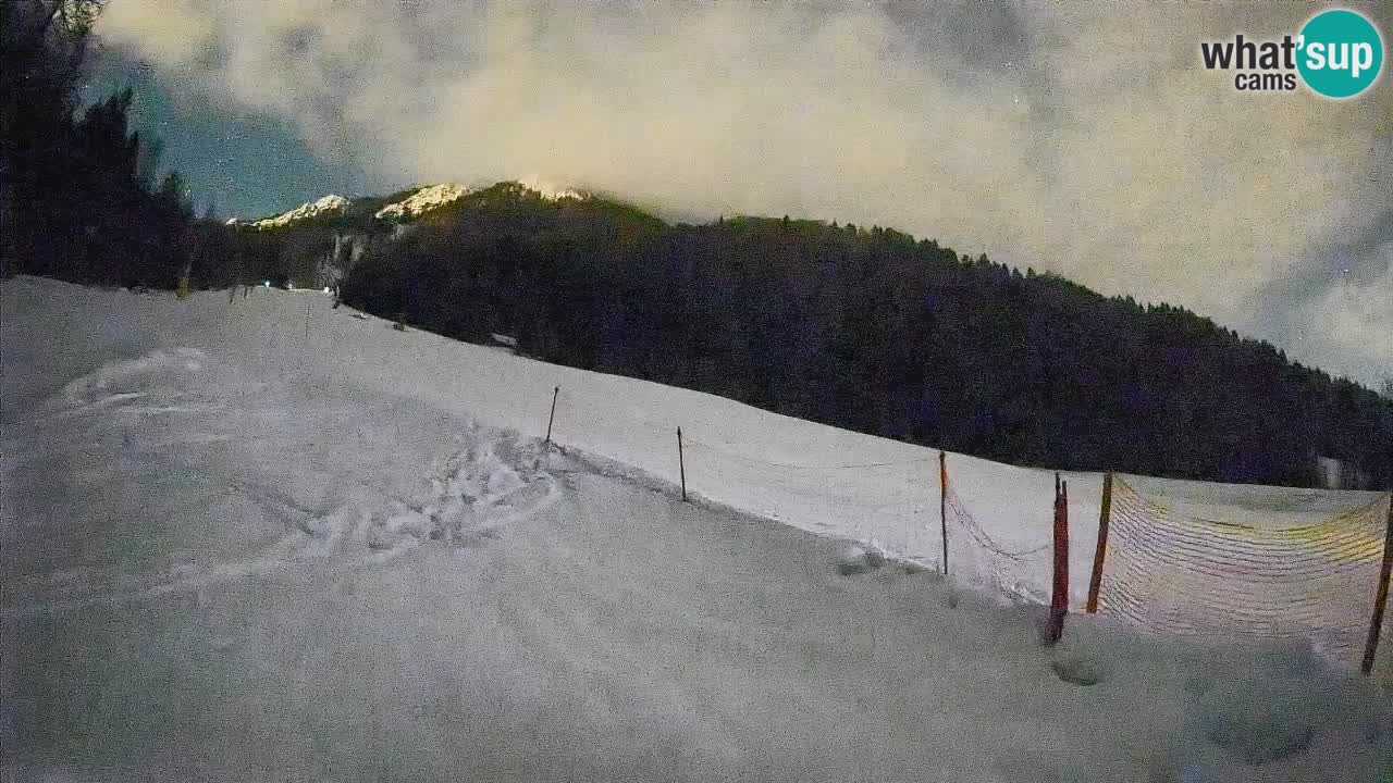 Esquí Kranjska Gora | Brsnina