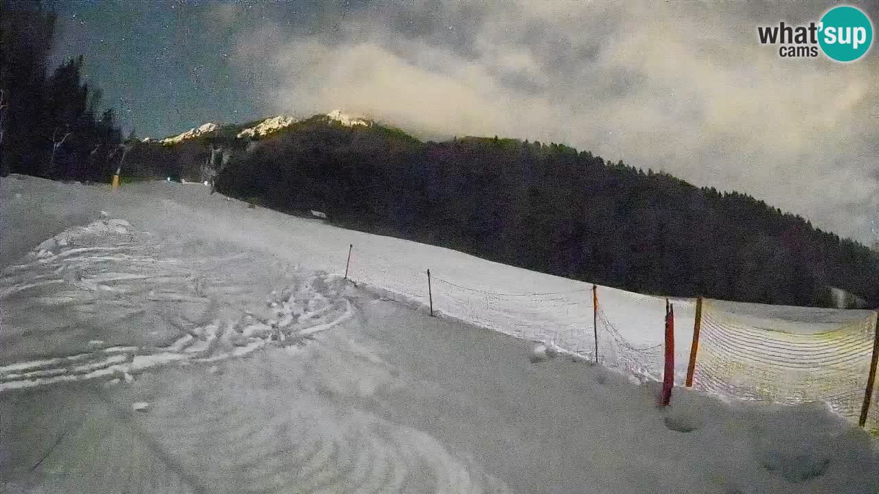 RTC Skigebiet Kranjska Gora | Brsnina