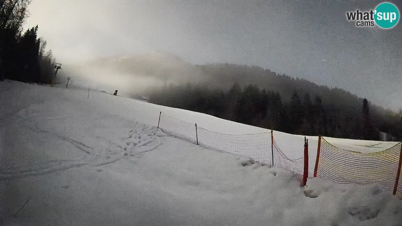 Comprensorio sciistico Kranjska Gora | Brsnina