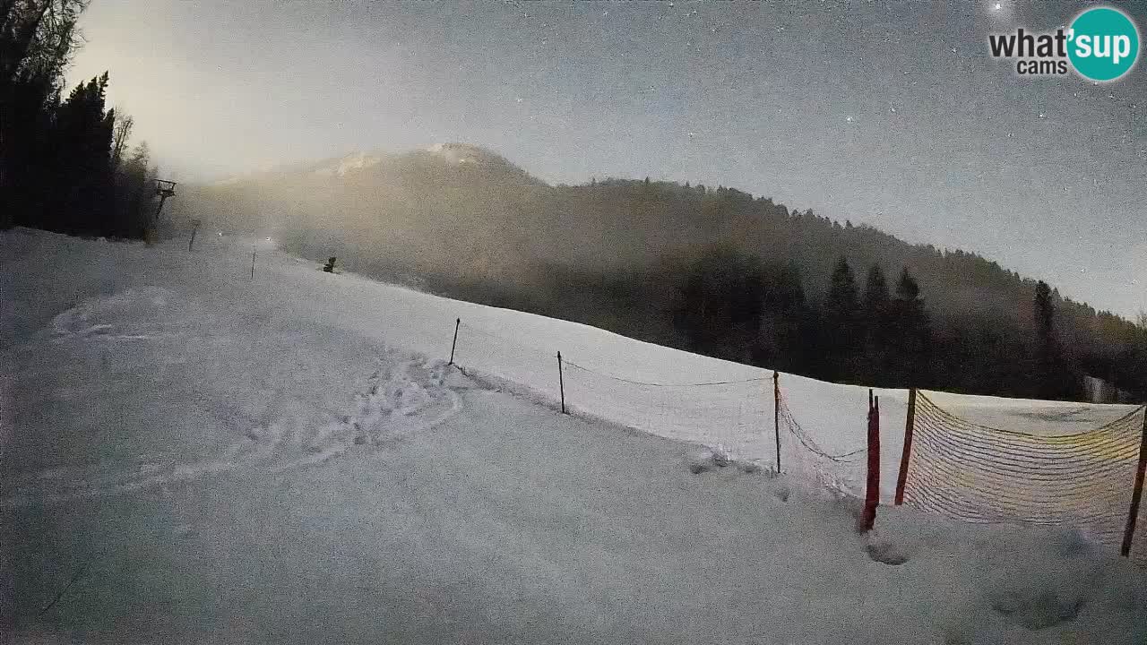 Comprensorio sciistico Kranjska Gora | Brsnina