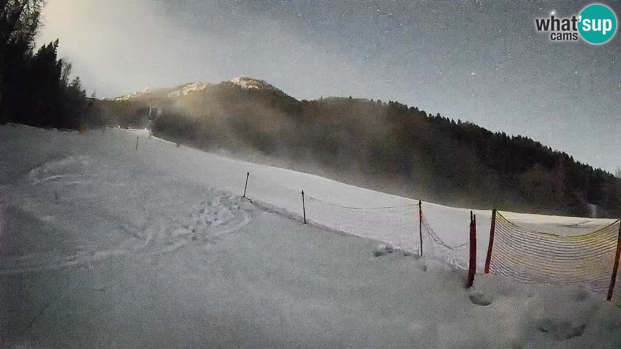 Ski Kranjska Gora | Brsnina