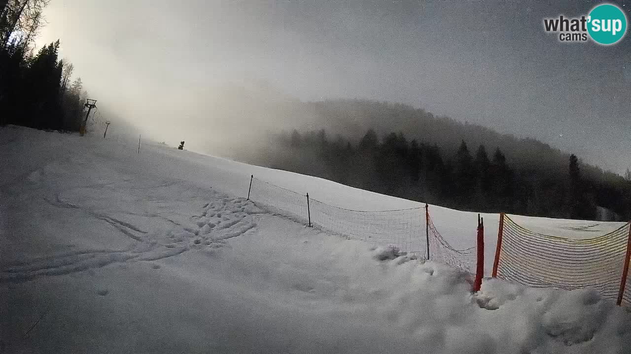 RTC Kranjska Gora | Brsnina