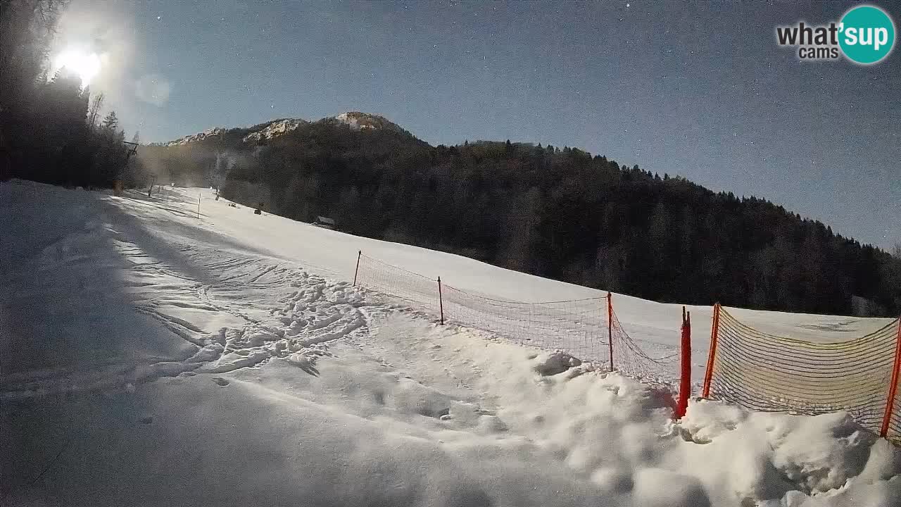 Comprensorio sciistico Kranjska Gora | Brsnina