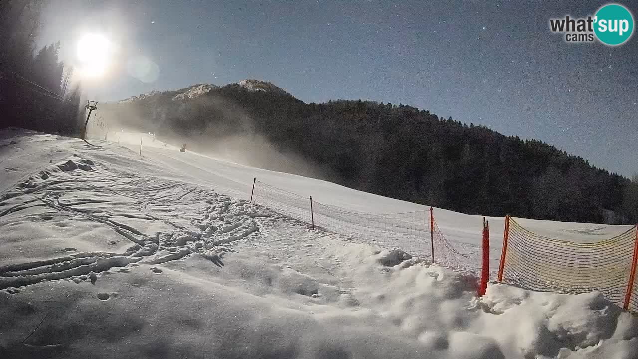 Comprensorio sciistico Kranjska Gora | Brsnina