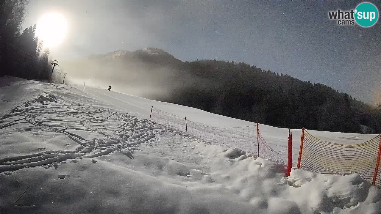 RTC Skigebiet Kranjska Gora | Brsnina