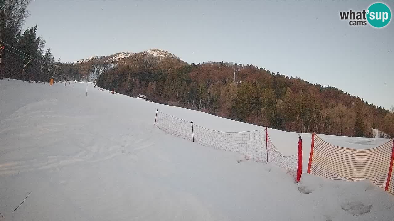 RTC Kranjska Gora | Brsnina
