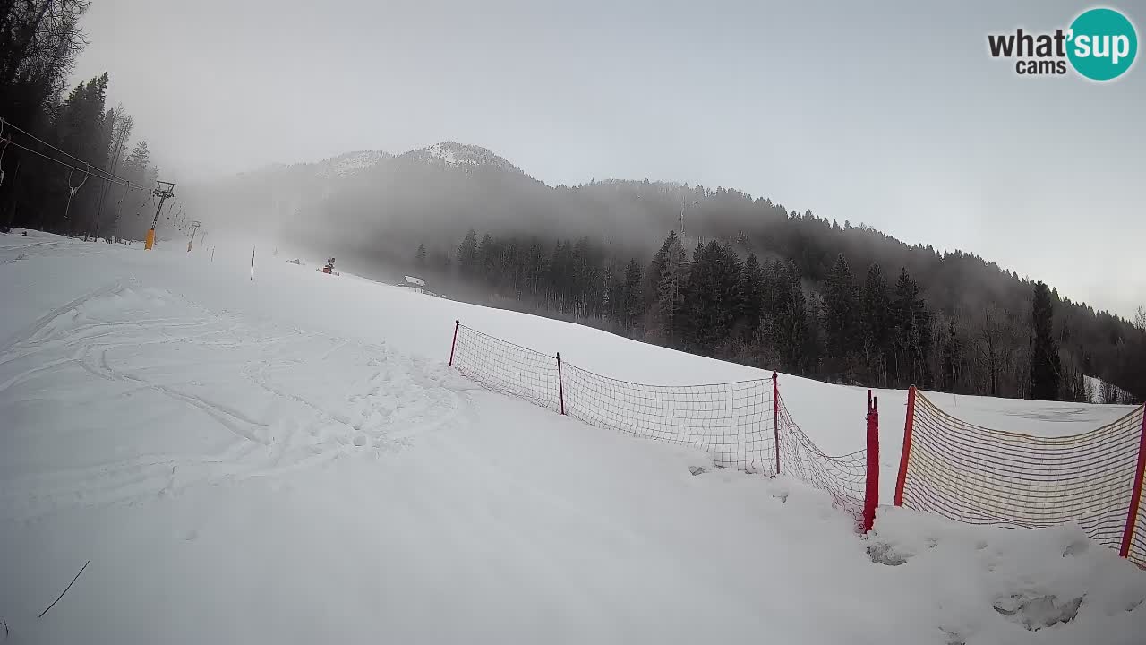 Comprensorio sciistico Kranjska Gora | Brsnina