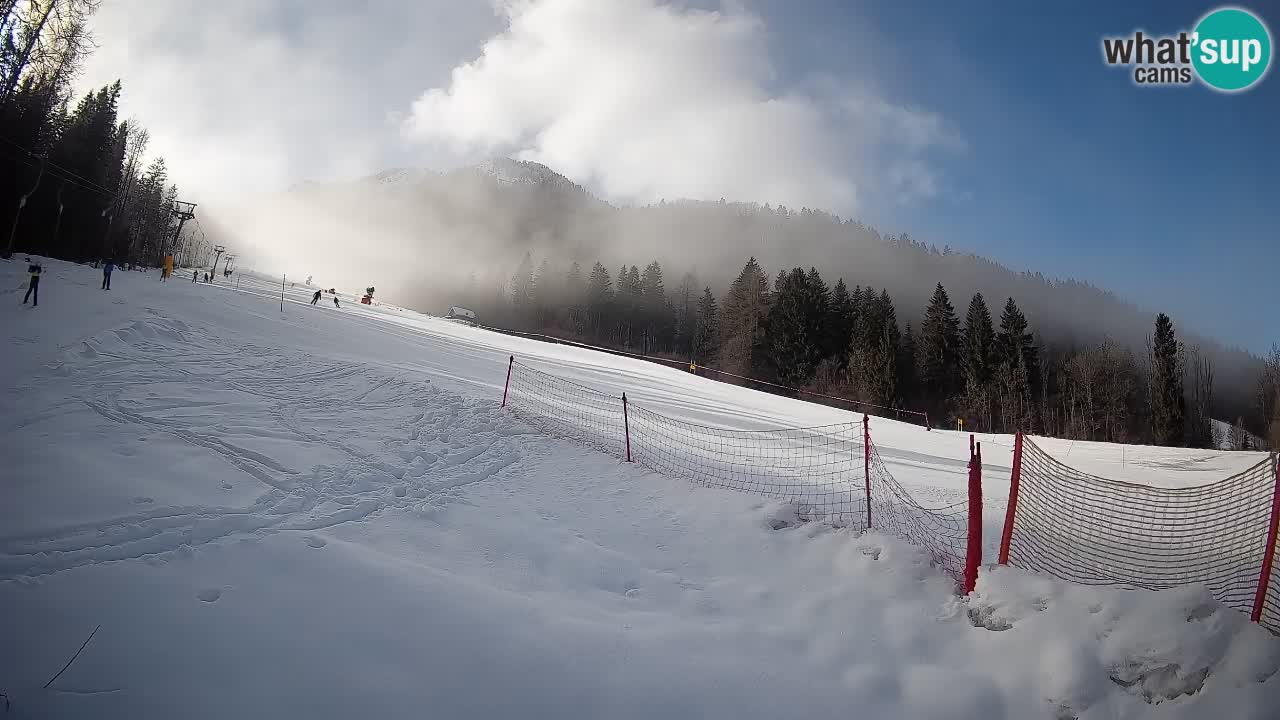 Comprensorio sciistico Kranjska Gora | Brsnina